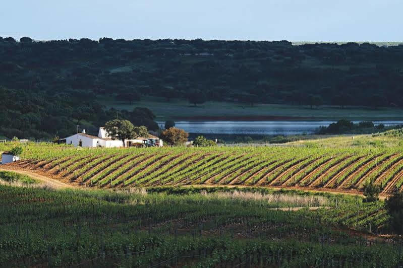 Herdade Do Sobroso Wine & Luxury Boutique Hotel Pedrogao  Екстериор снимка